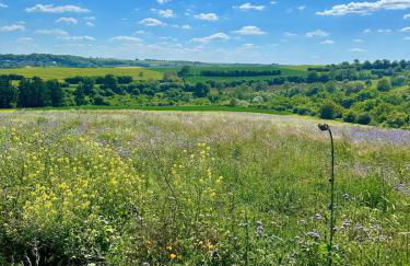 Ruhige Ferienwohnung auf dem Delcherhof in der Mosel-Weinregion - Foto 33