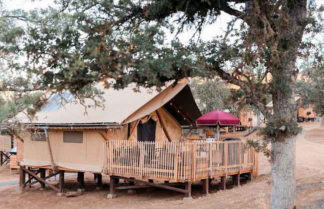 Huttopia Wine Country - Foto 12