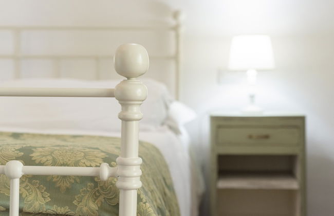 Fattoria Pian di Rocca - Foto 33