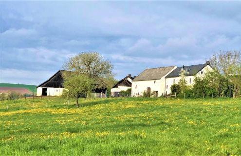 Ferienwohnung Pferdestärke-Eifel - Foto 8