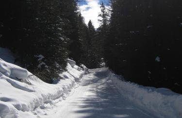 Residence Flora - Photo 27