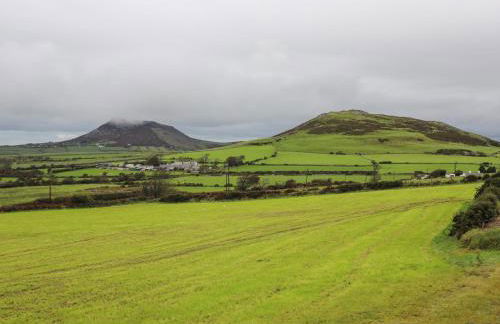 Pennant Igyn - Foto 23