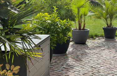 Exklusives Appartement mit Flair - Foto 13