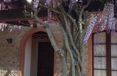 Fattoria Cirene - Foto 24
