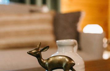 "Alpine Hills" Cozy Hideaway RRG Cabin w/ Hot Tub - Foto 17