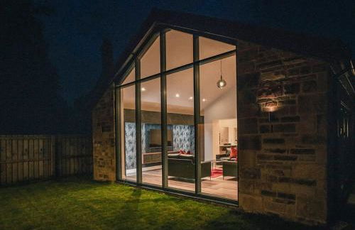 13 Shearling - Ukc8974 - Photo 5