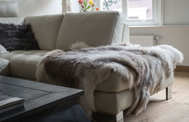 City Guesthouse De Rozenboom - Foto 1