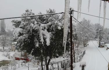 Six Steps From The Forest - Photo 26