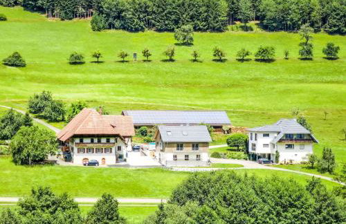 Apartment Kinast - HFT202 by Interhome - Foto 127