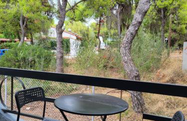 Dilion Guest House - Foto 40