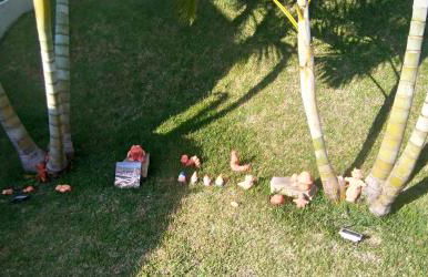 RECANTO K9 - SERRA NEGRA SP. No verão e no inverno - Foto 41