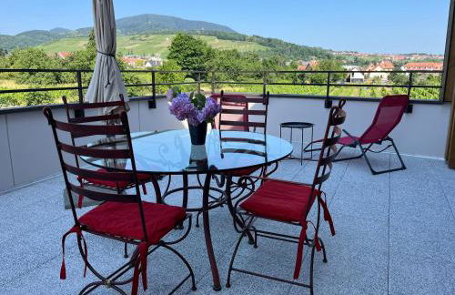 La Terrasse du Vignoble - Garage et parking privatifs - Photo 1