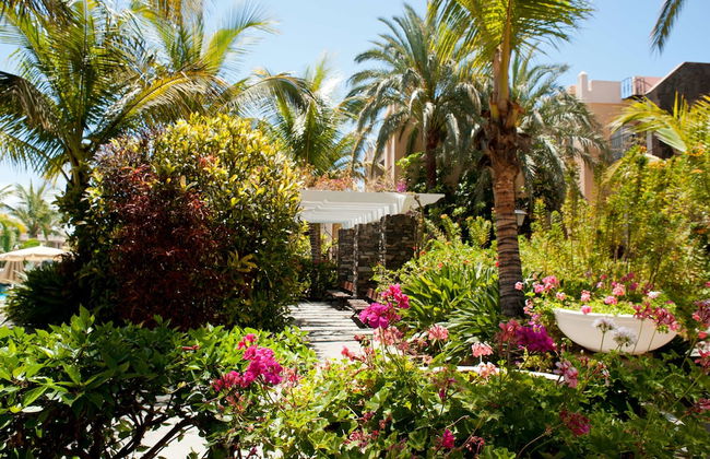 Palm Oasis Maspalomas - Foto 54