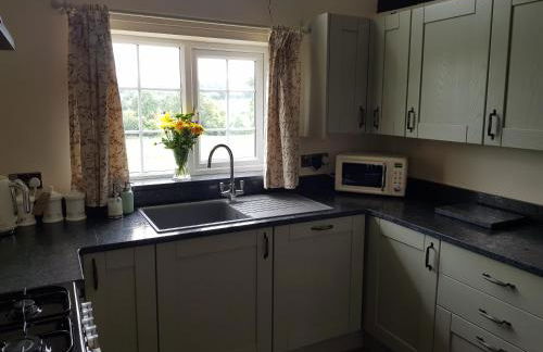 Lletty Ann wynn at Fraithwen Cottages - Foto 28