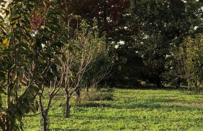 Cascina San Giorgio - Photo 34