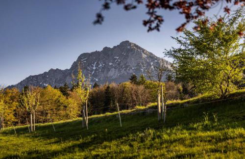Haus Vogl Anger - Ferienwohnungen mit privater Sauna und beheizten Salzwasser Pool in Panoramalage und Nähe zu Salzburg und Berchtesgaden - Foto 40