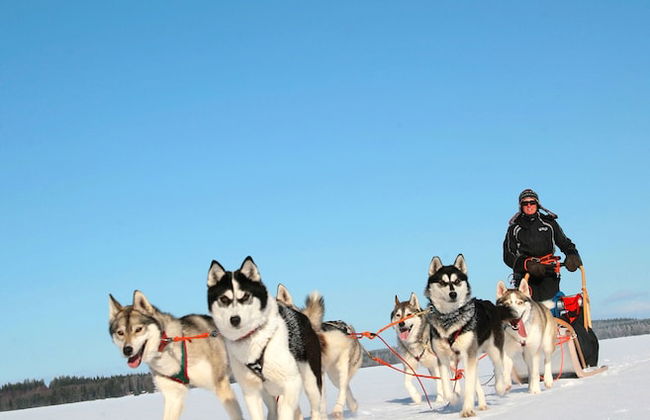 Vuokatin Aateli Villas - Foto 24