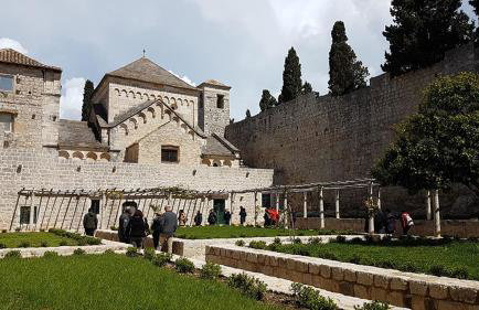 Mljet Sunset Apartments - Photo 38