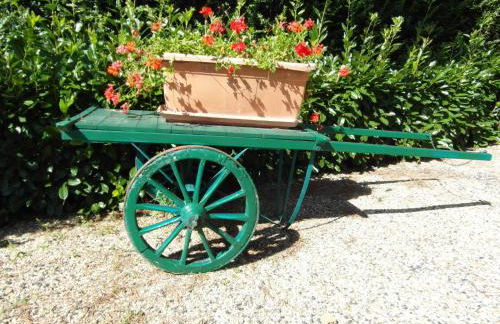 Rustic Comfort with Modern Touch - Foto 31