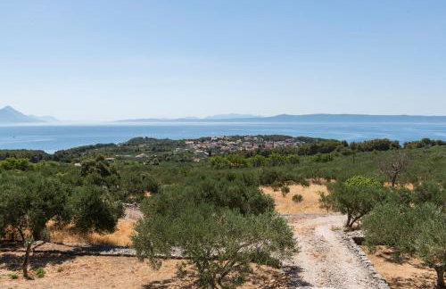 House with a swimming pool - Olive Grove Sumartin - Foto 15