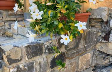 Casa Matilde - Foto 18