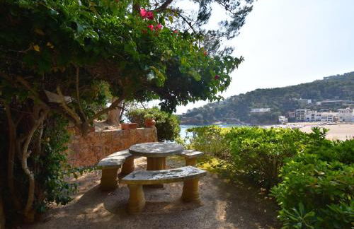 Sa Punta Negra - Foto 6