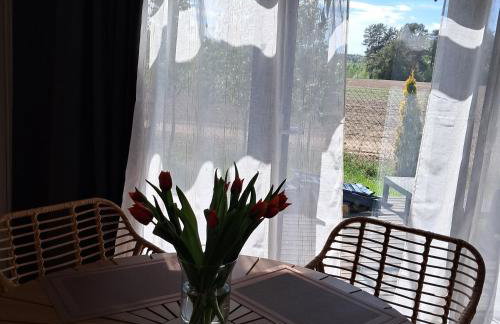 Brzozowe Ostrowie - Foto 18