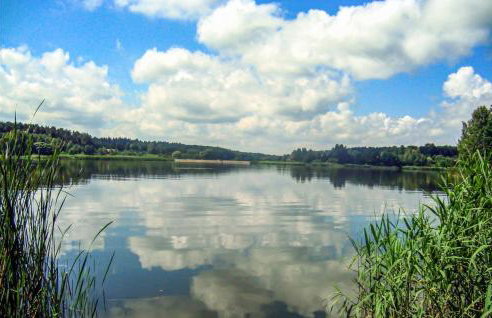 Cozy Home In Biskupice With Wifi - Foto 11