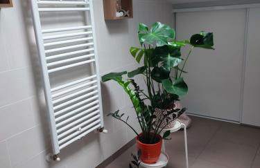 Location de charme T3 au 2e étage et dernier étage - Foto 26