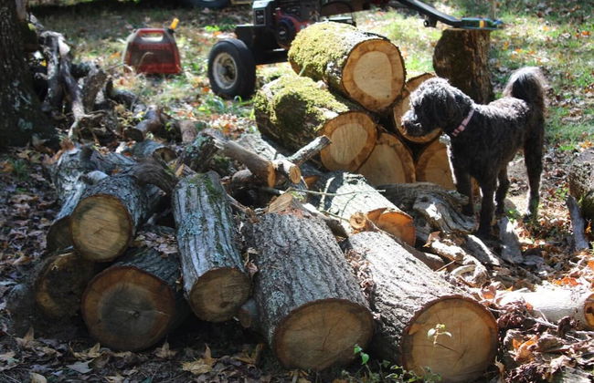 Shalom Chalet - Foto 16