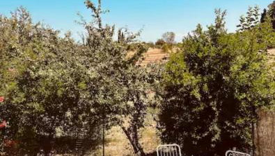 Sofia's house - Foto 4