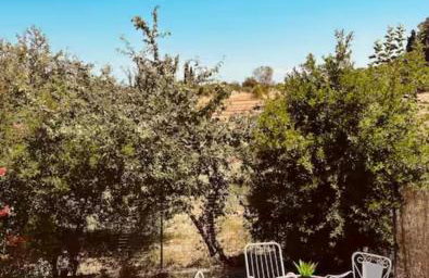 Sofia's house - Foto 4