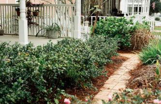 Historic Garden Suite Walk to Bay and Downtown - Foto 16