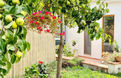 Profumo di Limoni Vacation Rental - Foto 19