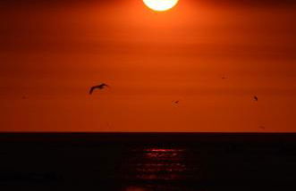 Bed & Seaside - Bola da Nivea - Foto 44