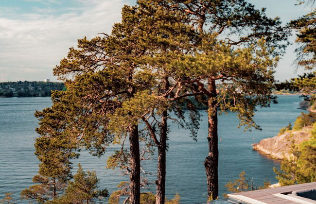 Most Luxurious 5-bed Villa in Boo Stockholm - Photo 14