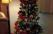 Casa das Oliveiras - Manteigas - Foto 61