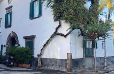 Capo Circe - Photo 22