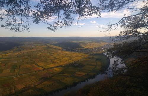 Ferienwohnungen Felten in Minheim - Foto 41