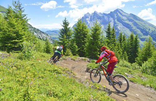 Le lodge by Lilou - Photo 22