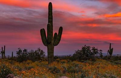Rio Rancho Verde Two Bedroom Suite - Foto 59