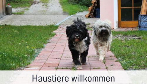 SEEZEIT Ferienwohnungen am Mühlbach BRIGHT Collection - Foto 5