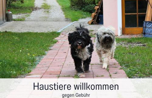 SEEZEIT Ferienwohnungen & Seminarhaus am Ammersee - Foto 37