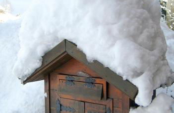 Willkommen im Herzen des Allgäus! - Photo 33