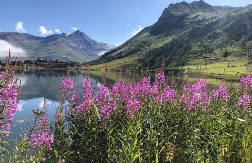 Phoenix 101 - Foto 12