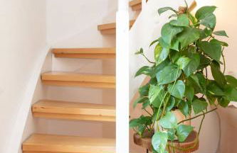 Ganzes Haus mit großem Garten und eigener Sauna - Foto 30