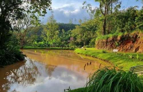 Sítio com Casa de Madeira com 2 quartos 100m2 px Centro de Salesópolis - Foto 32