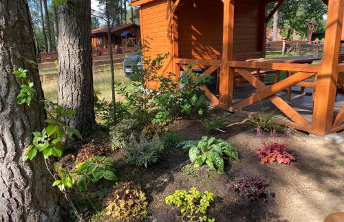 Domek nad jeziorem Guzowy Piec - Foto 19