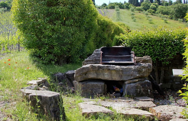 Escape to Vineyards, Elba - Foto 19