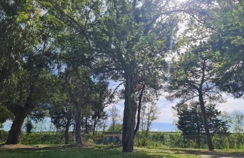 Casa del Mare - Riviera dei Tramonti - 150 mt dalla spiaggia - Foto 46